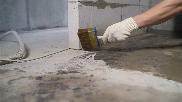 24/7 Emergency Wet Basement Repair experts in Warren, OH